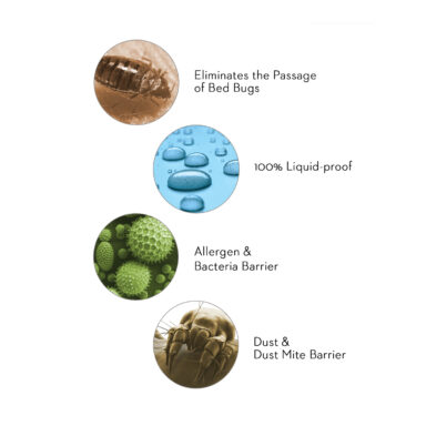 Encase LT Protections