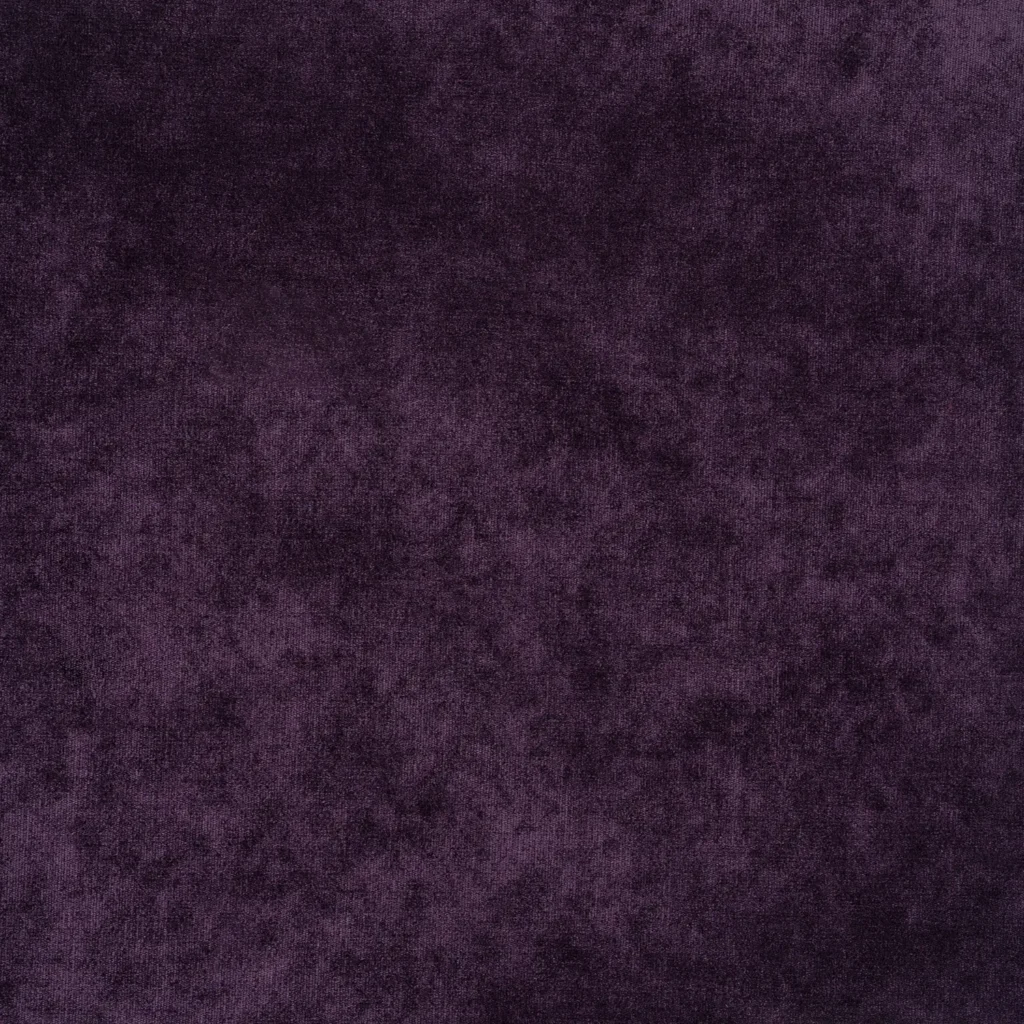 Padma Aubergine